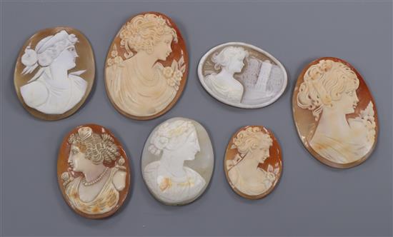 Seven unmounted cameo shells, largest 55mm.